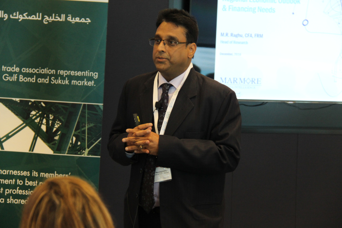 Mr. Raghu Professional Photos